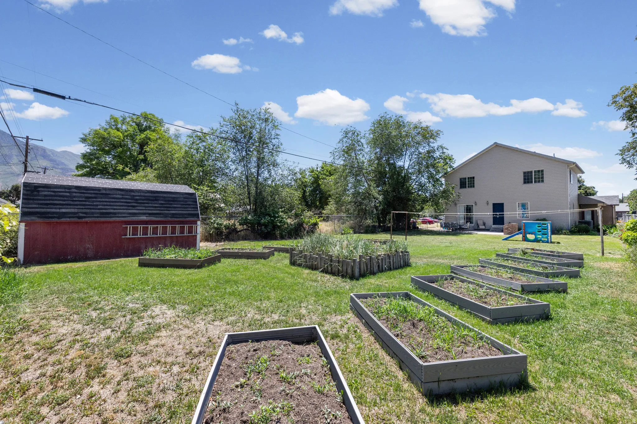 Backyard garden