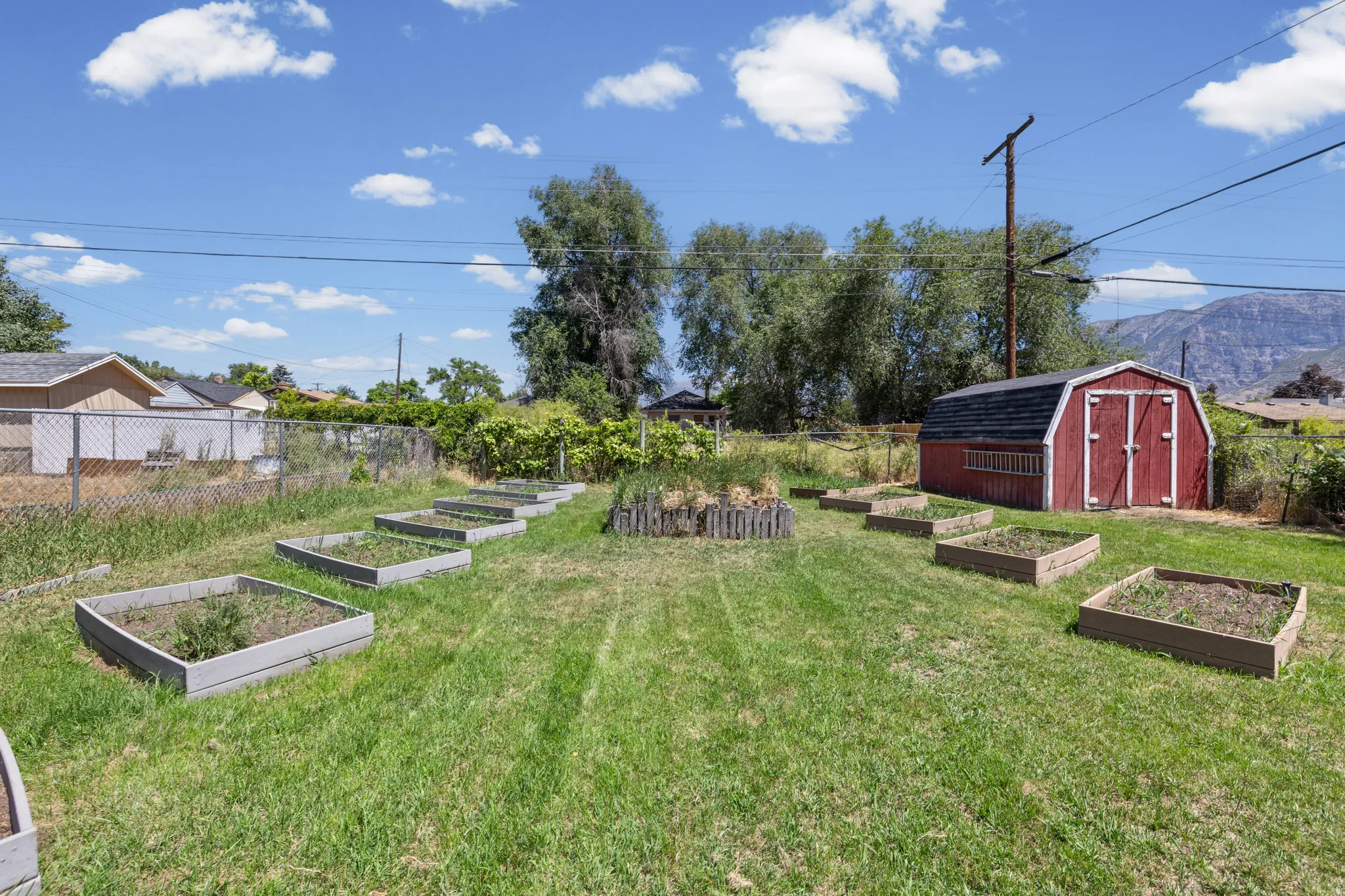 Backyard garden