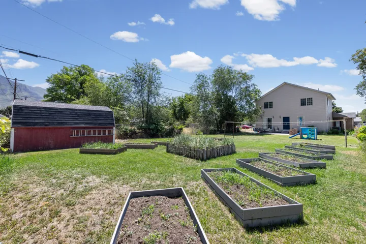 Backyard garden