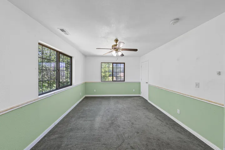Carpeted room with white and green two-tone walls, featuring two large black-framed windows, a ceiling fan with light fixture, and a white door