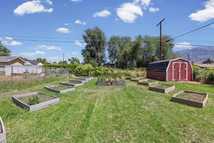 Backyard garden