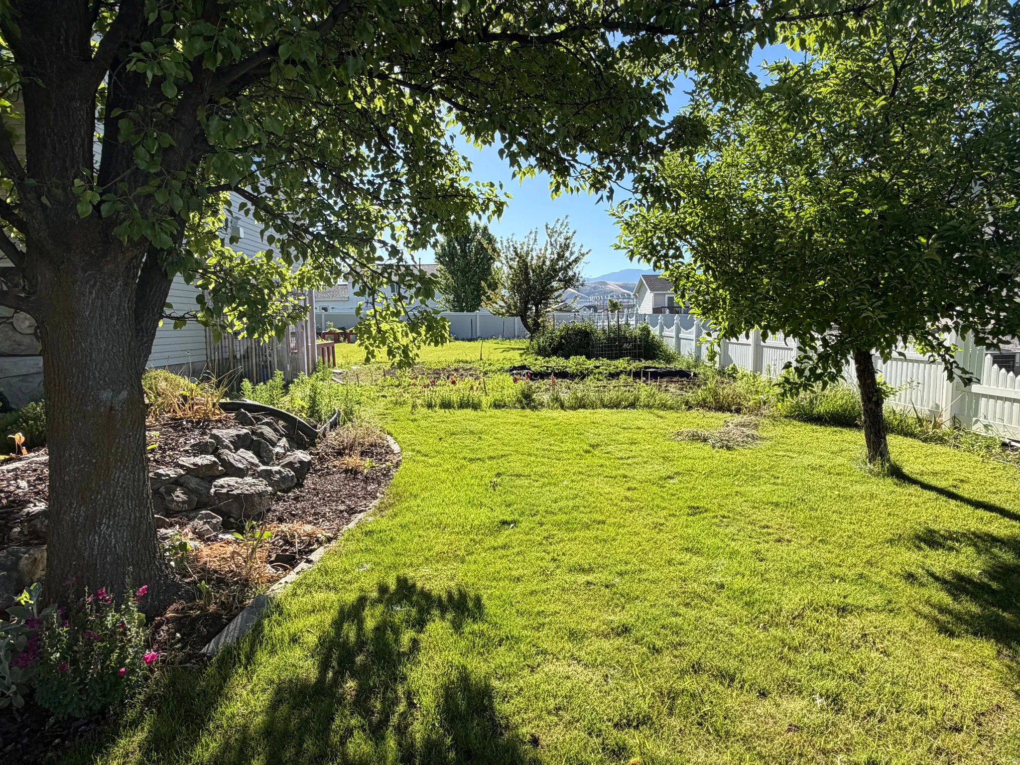 Expansive rear yard featuring green lawn, established trees, and a decorative rock border