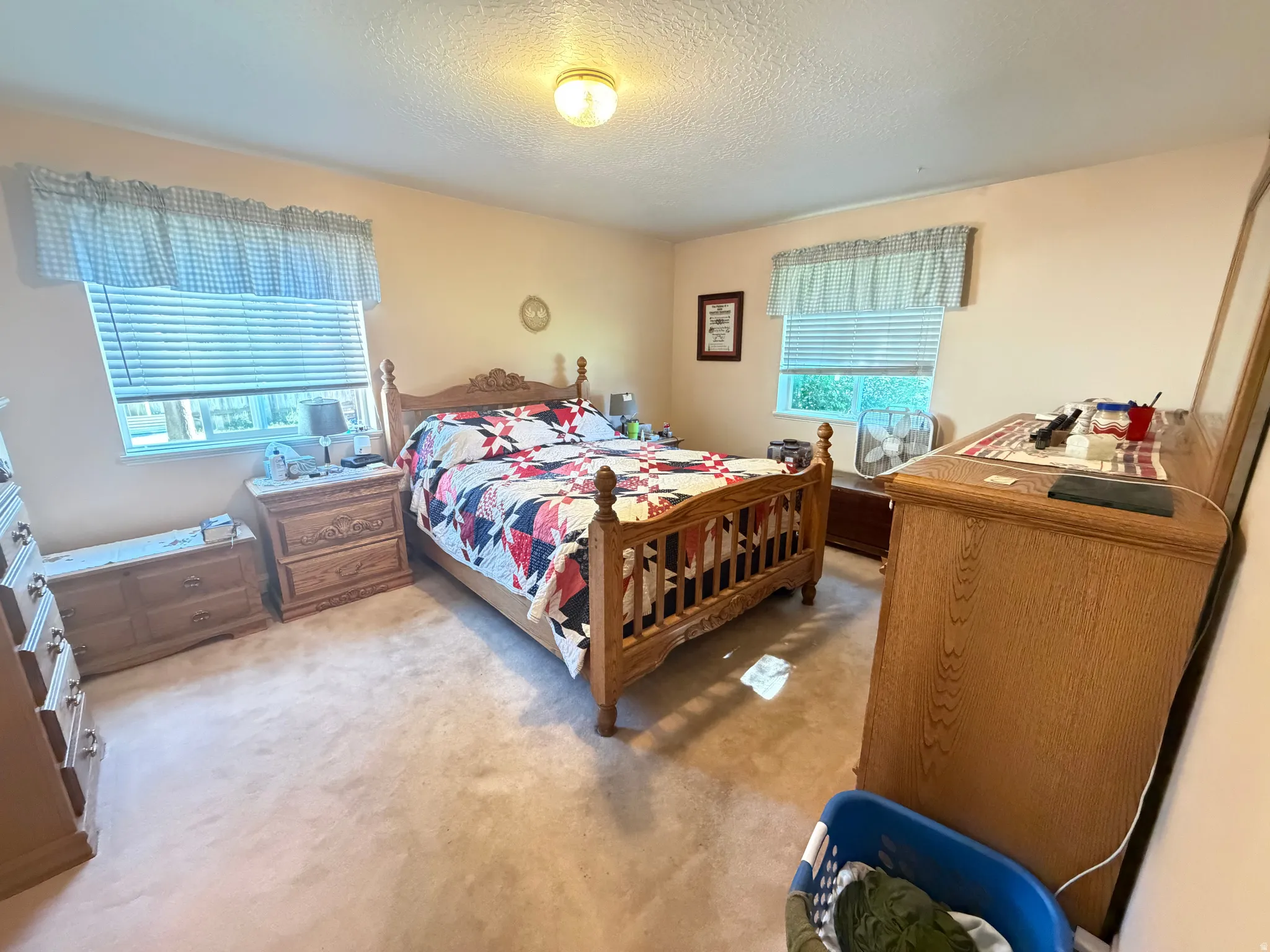 Carpeted room featuring two windows with horizontal blinds, a flush-mount ceiling light fixture, and neutral-toned walls
