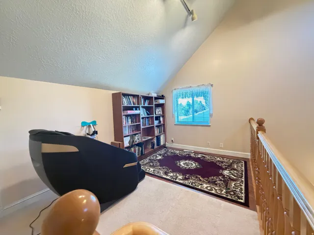 Carpeted loft space with a window, track lighting, and a built-in bookshelf