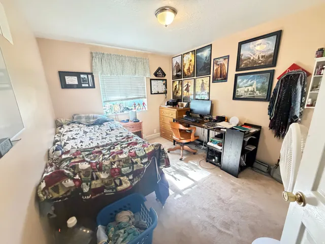 Carpeted room with a ceiling-mounted light fixture, window with blinds and valance, and neutral-toned wall paint