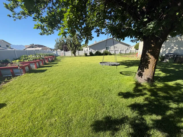 Expansive backyard featuring a lush lawn, mature shade tree, and a series of raised garden beds
