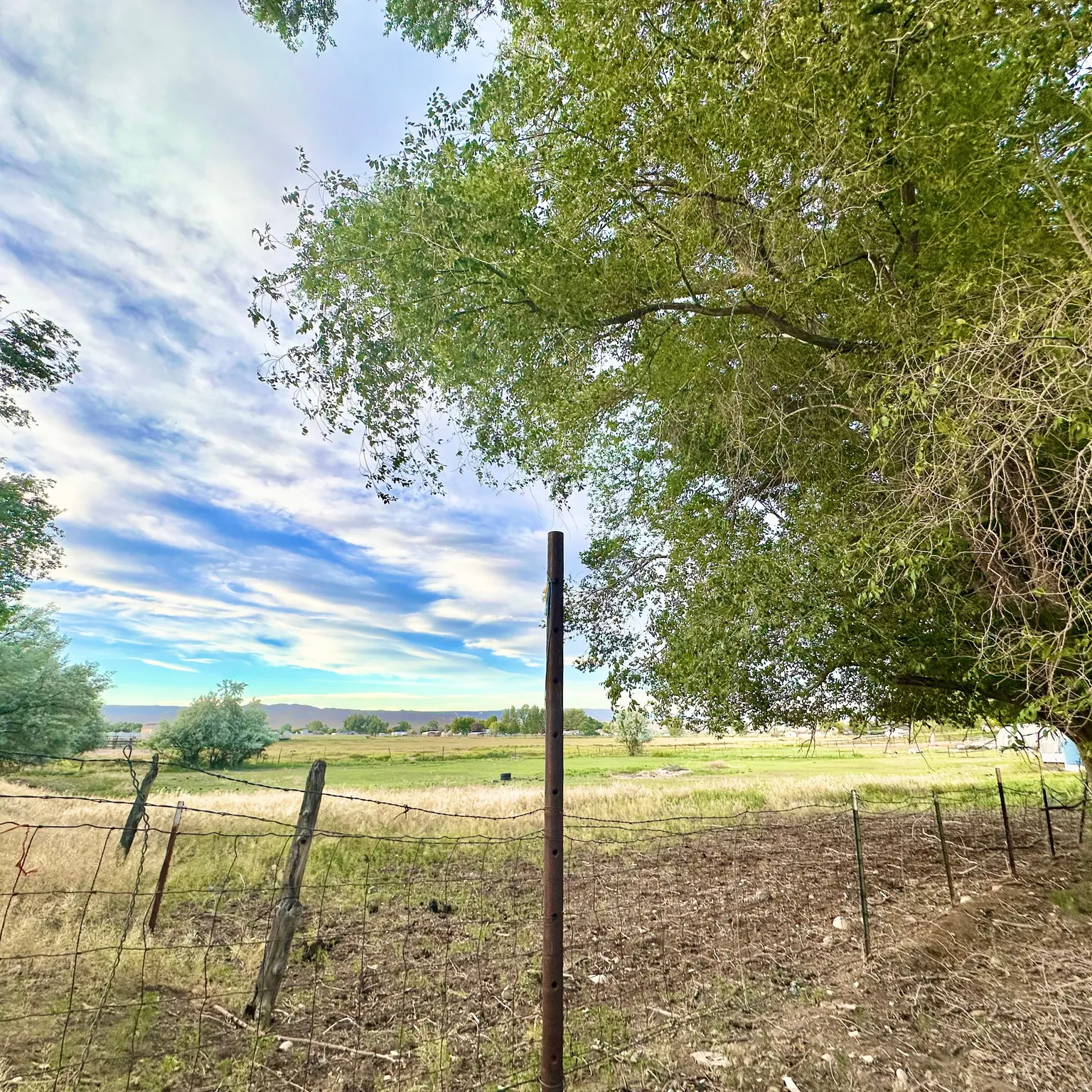 Expansive outdoor space featuring a wire fence, mature trees, and a distant treeline