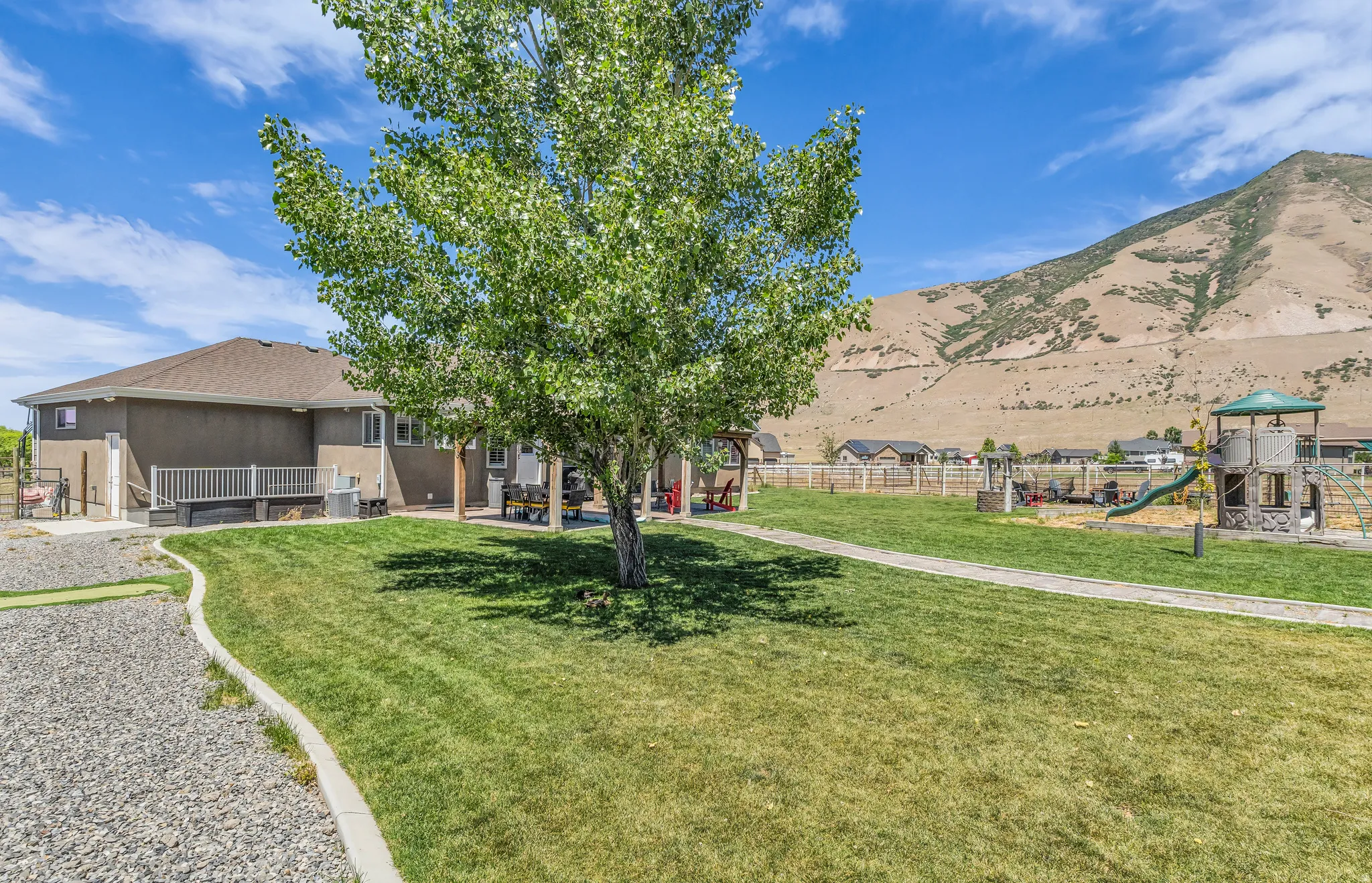 Expansive backyard featuring a manicured lawn, established tree, and a concrete pathway