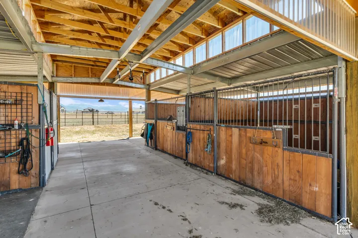 Barn interior featuring concrete flooring, multiple stalls with wood paneling and metal gating, an exposed wood beam ceiling, and translucent roof panels allowing for natural light