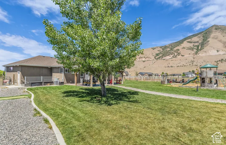 Expansive backyard featuring a manicured lawn, established tree, and a concrete pathway