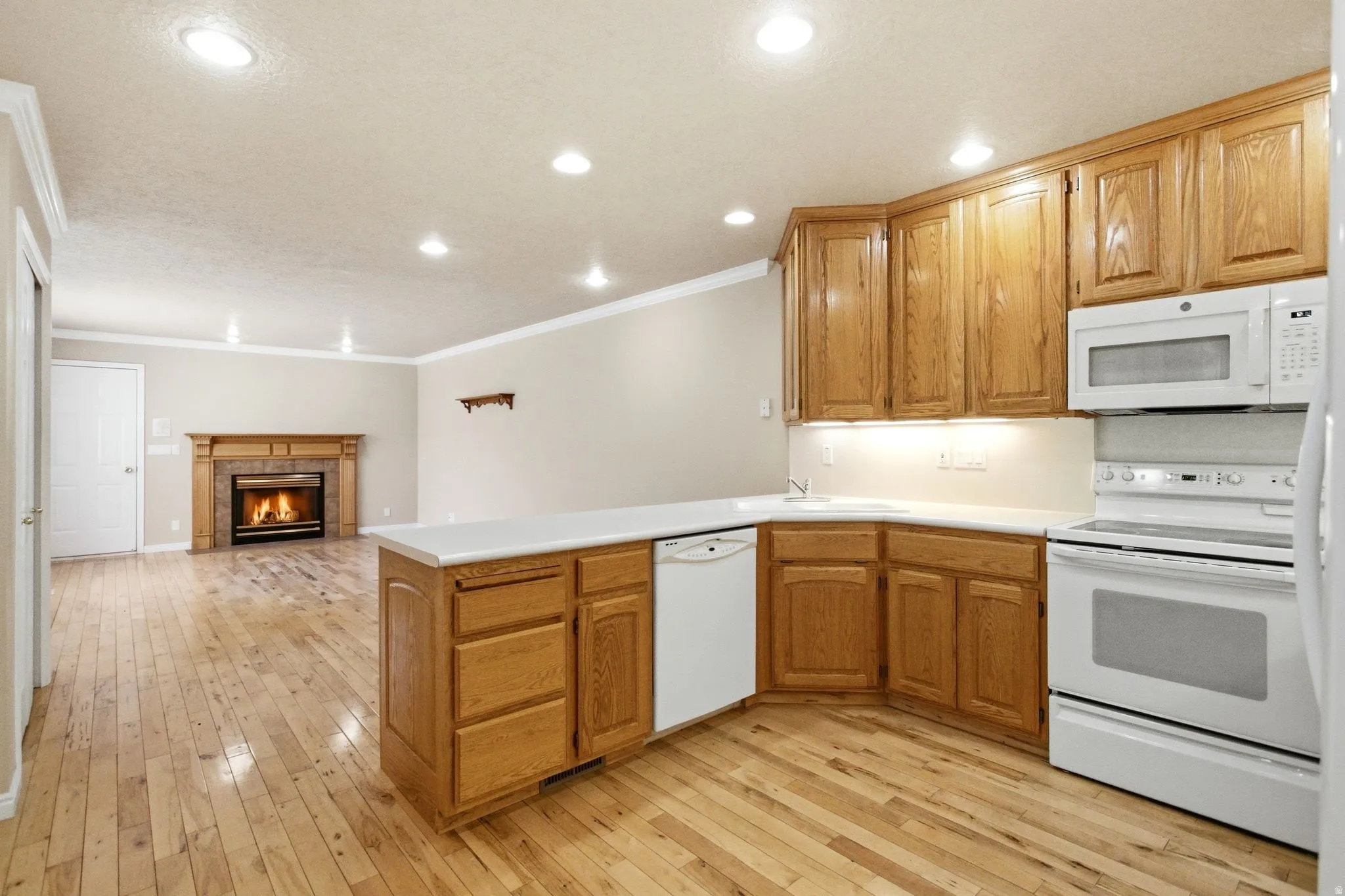 Open-concept kitchen and living area featuring wood-finish flooring