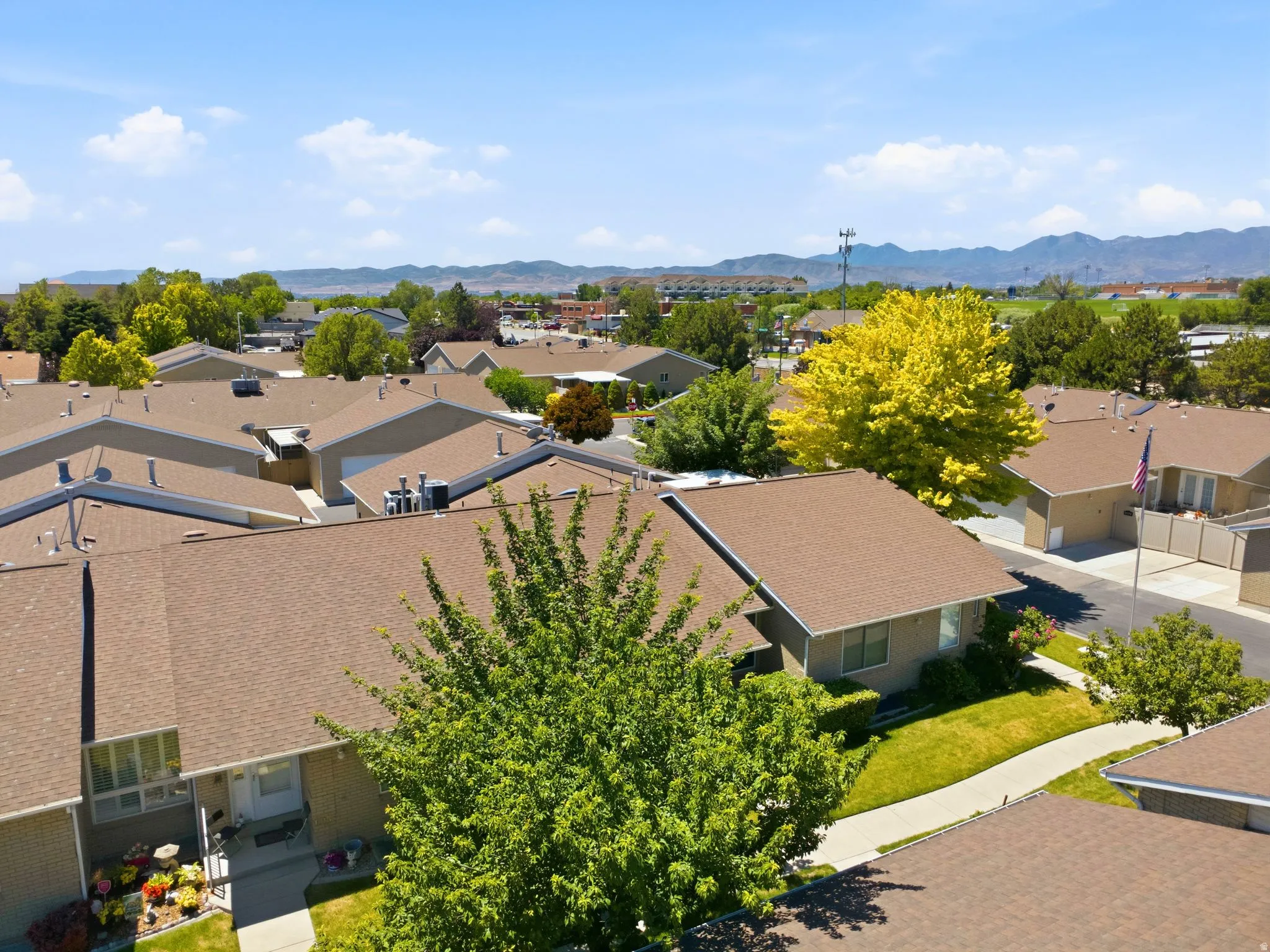 Residential community with uniform brown shingle roofs