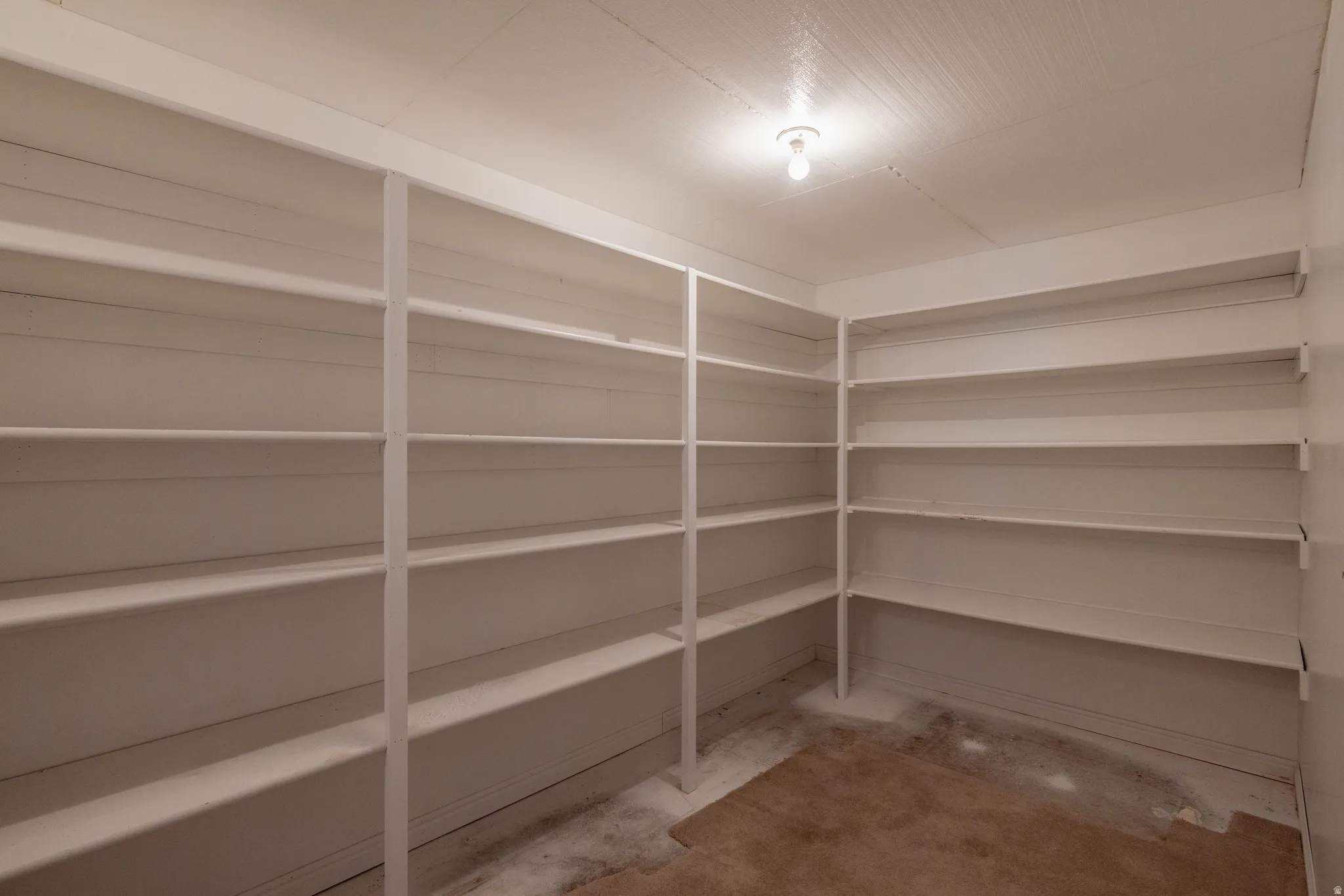 Room featuring extensive built-in shelving, white painted surfaces, and a ceiling light fixture