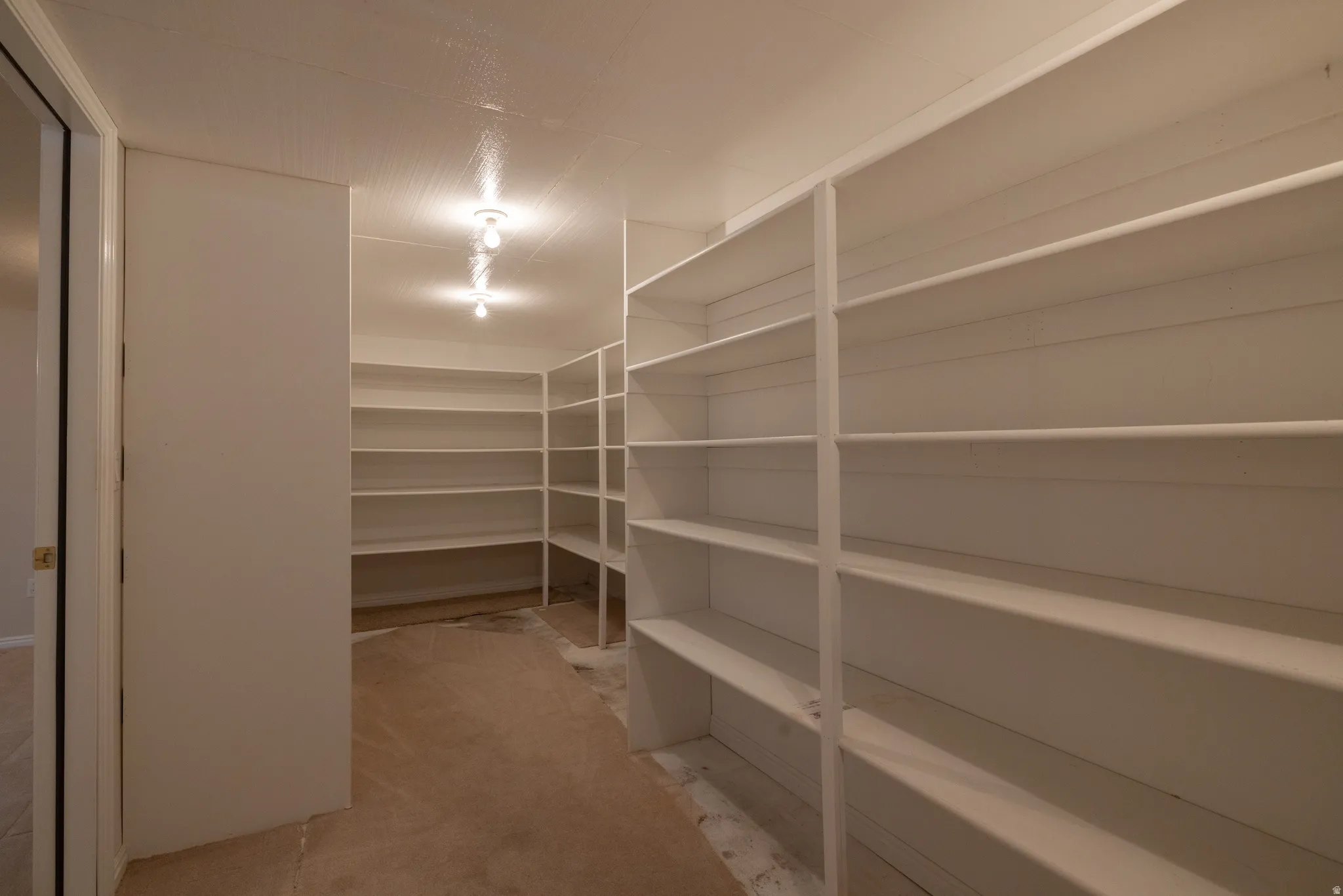Spacious walk-in pantry featuring extensive built-in shelving, providing ample storage capacity