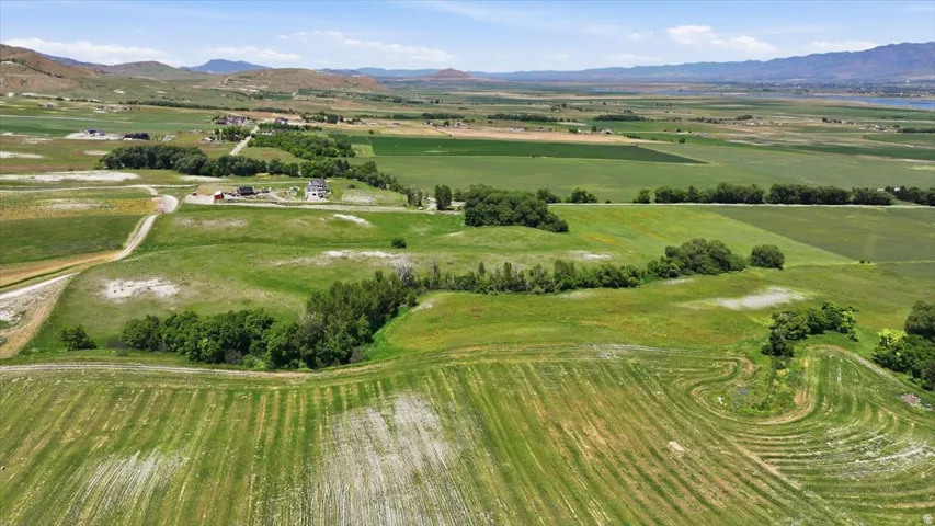 Expansive agricultural landscape featuring green fields and distant mountains