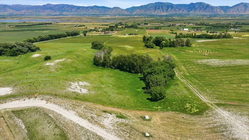 Expansive rural landscape featuring lush green fields and scattered mature trees
