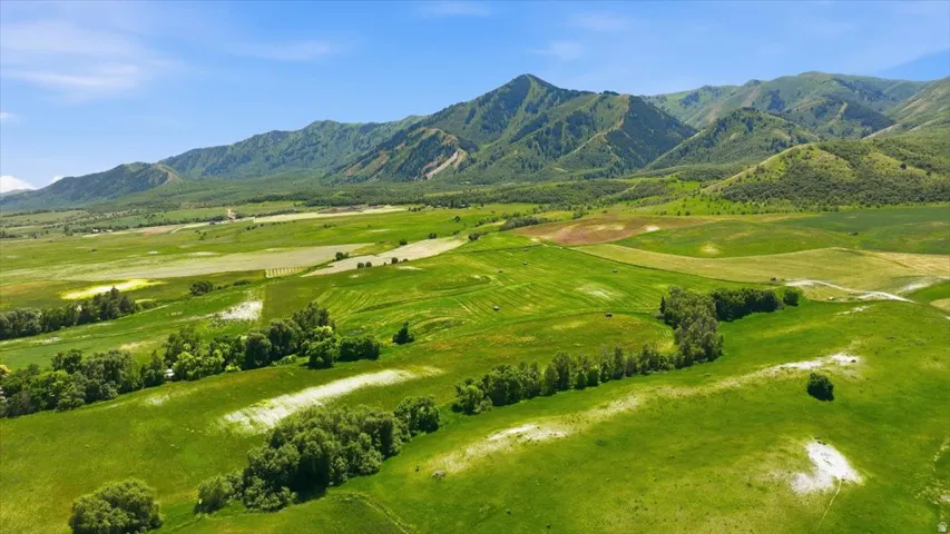 Expansive agricultural landscape featuring green fields, mature trees, distant mountains, and a clear blue sky
