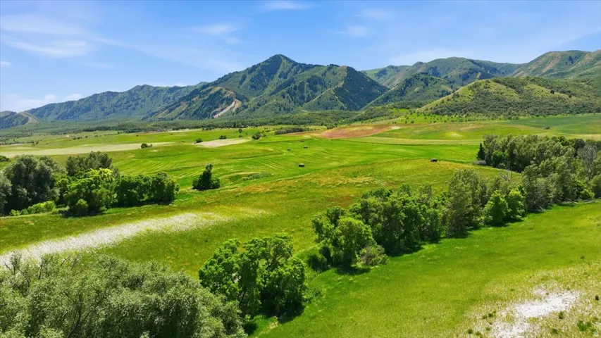 Expansive green acreage framed by distant mountains and scattered mature trees