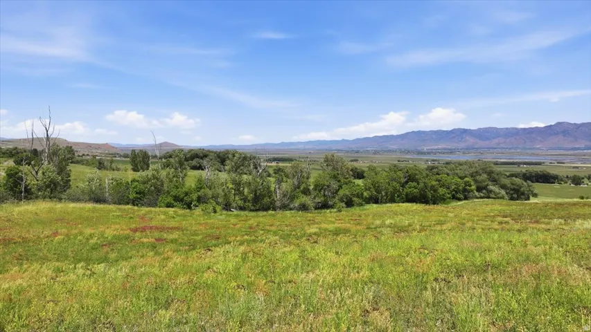 Expansive green landscape featuring varied foliage, distant mountains, and a clear blue sky