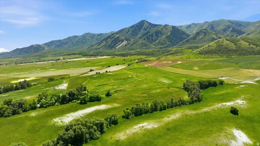 Expansive green landscape featuring rolling hills and distant mountains under a clear sky