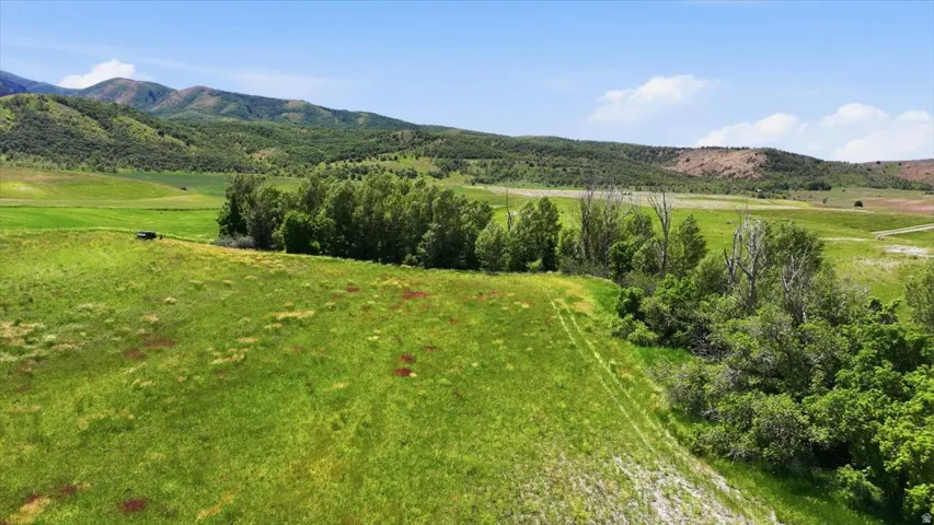Expansive green acreage featuring varied topography, mature trees, distant mountains, and a clear blue sky