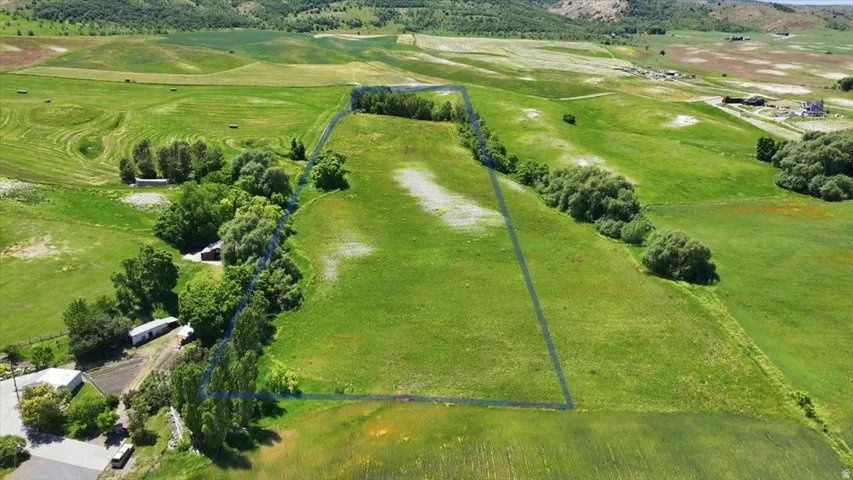Expansive green acreage framed by established trees, offering substantial open land