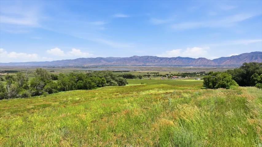 Rolling green landscape featuring distant mountains, a valley, and scattered trees