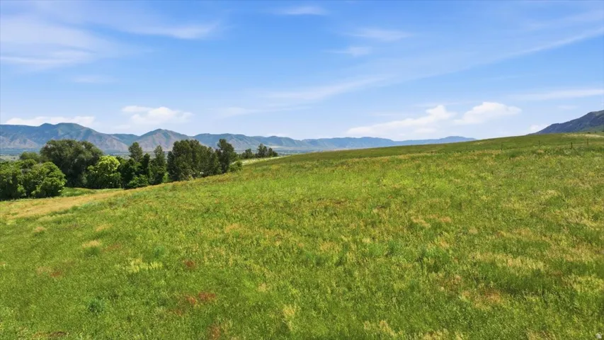 Expansive green field with rolling topography under a clear blue sky