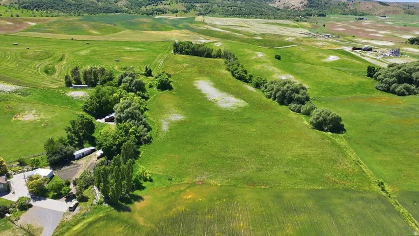 Expansive green acreage featuring scattered trees, a visible structure, and distant hills