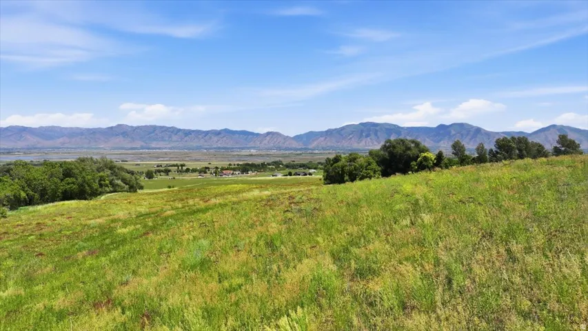 Expansive green field with natural grasses and rolling terrain