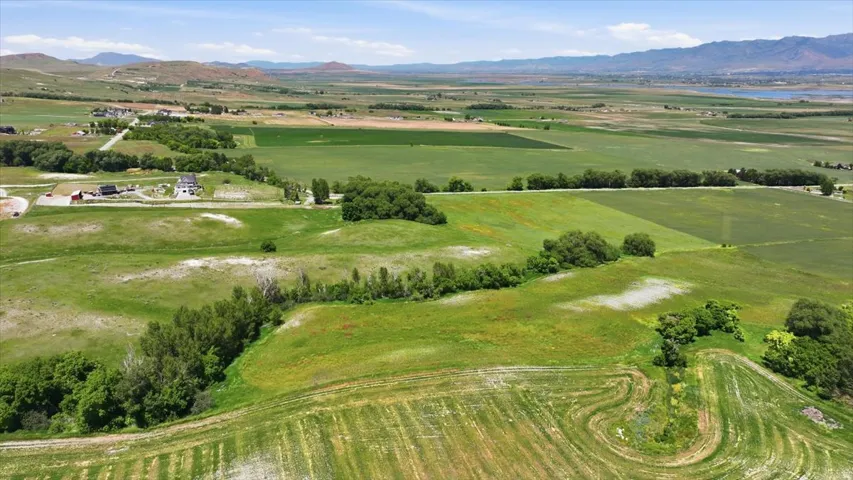 Expansive green landscape featuring cultivated fields and scattered natural tree lines