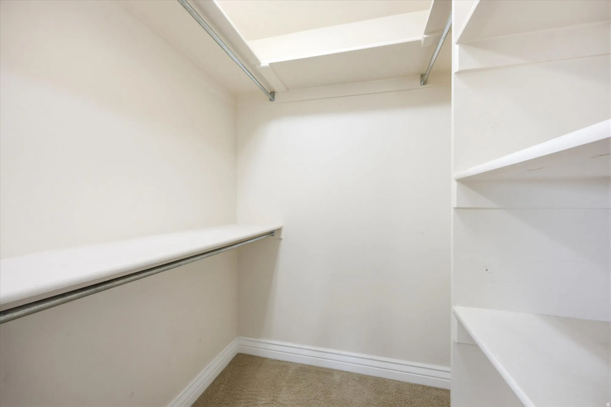 Closet featuring white built-in shelving, white walls, white trim, and light brown carpeting