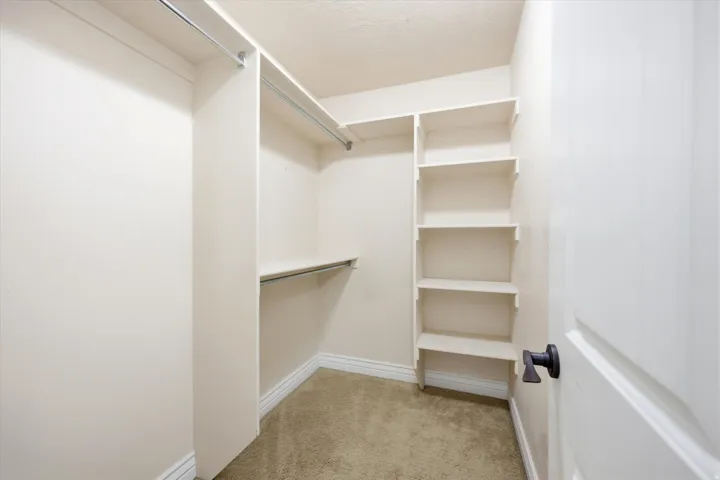 Walk-in closet featuring carpet flooring, built-in shelving, multiple hanging rods, and a white paneled door with matte black hardware