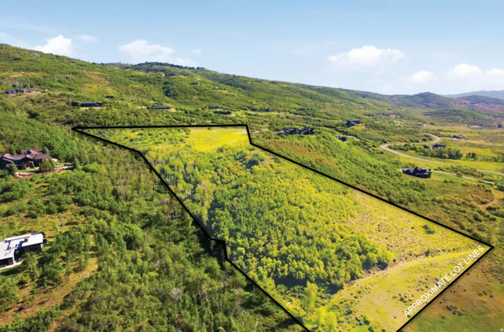 Expansive hillside lot featuring a mix of mature trees and open grassy areas