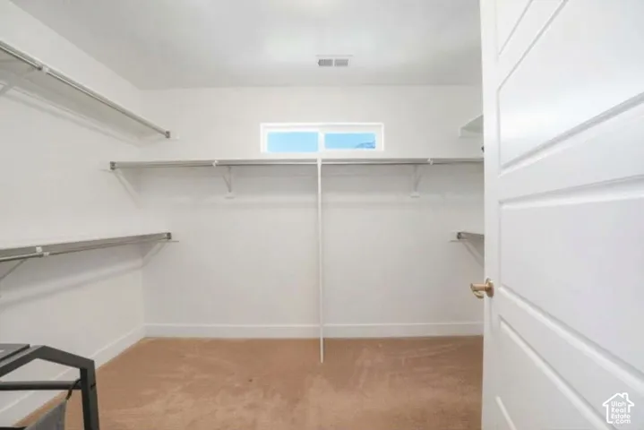 Walk-in closet with carpet flooring, white walls, built-in shelving, and a transom window
