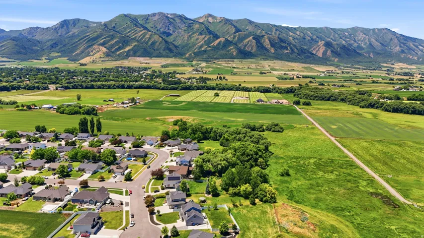 Residential neighborhood with mature landscaping and mountain backdrop
