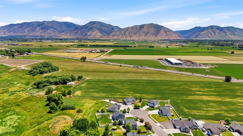 Expansive green fields and distant mountains frame a residential subdivision with paved roads and mature trees