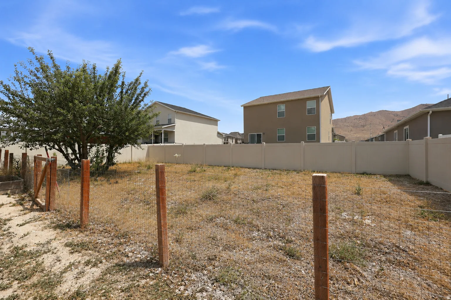Expansive backyard space with existing fencing, mature tree, and open land