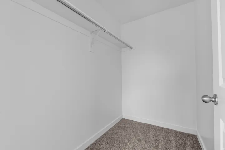Walk-in closet featuring plush gray carpeting, white baseboards, and a built-in shelving unit with a hanging rod