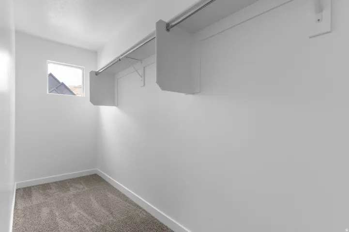 Spacious closet featuring wall-mounted shelving and hanging rod, a window, and grey carpet flooring