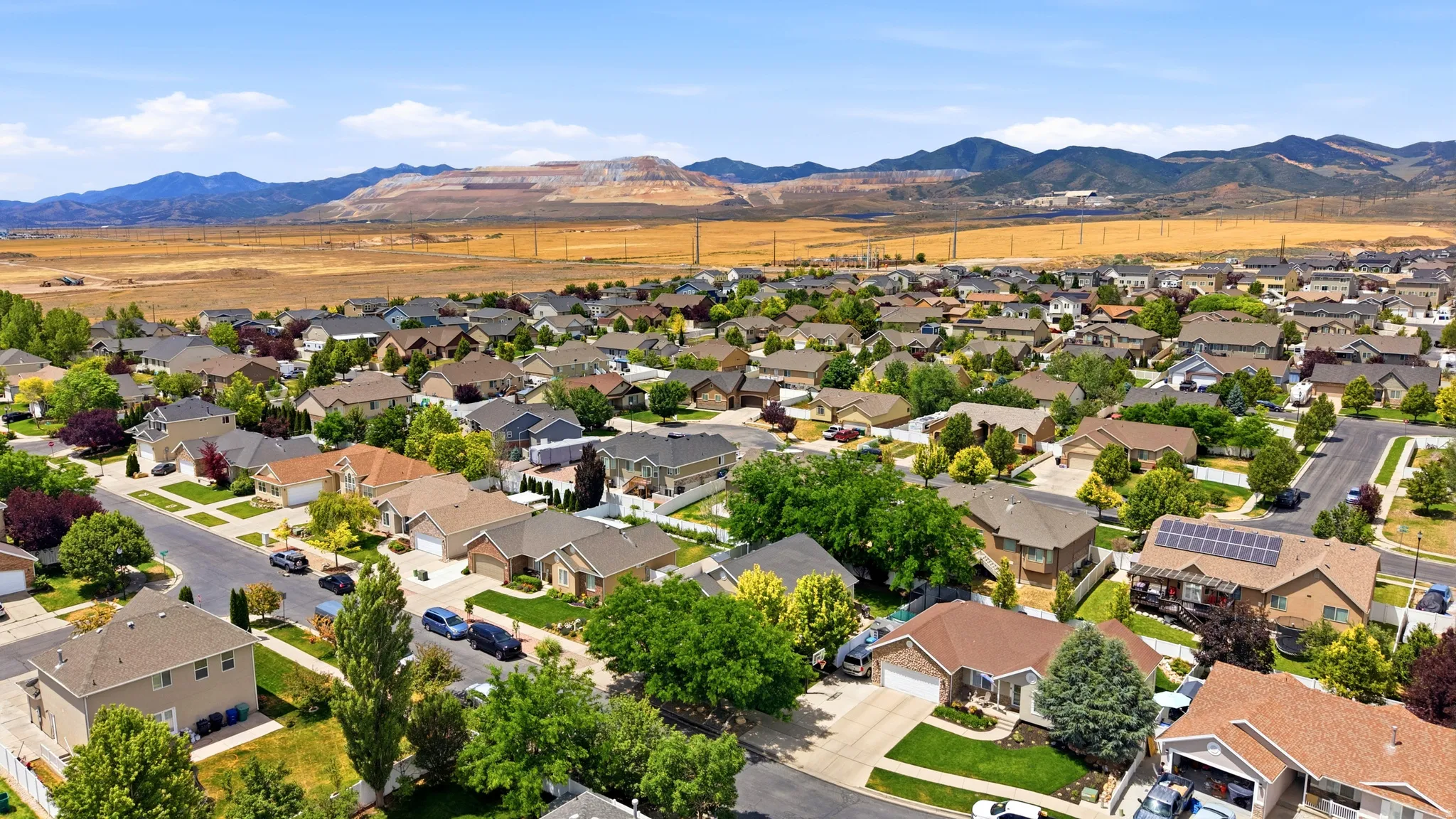 Residential neighborhood featuring varied single-family homes, mature landscaping, and paved streets