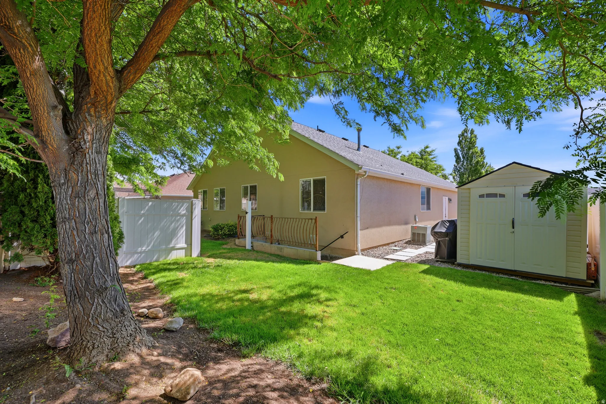 Expansive backyard featuring a manicured lawn, established mature tree, and a storage shed