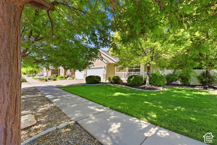 Lush green lawn and mature shade trees frame the property