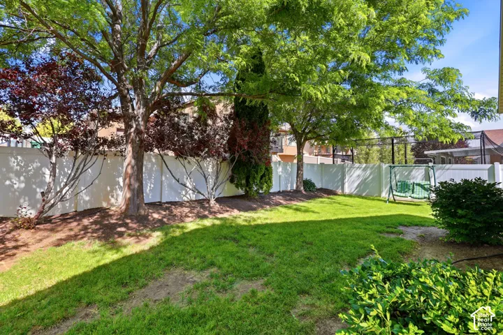 Yard