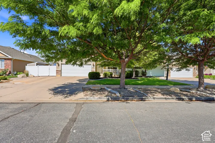 Manicured front yard with mature trees, a concrete driveway, and a white fence providing privacy