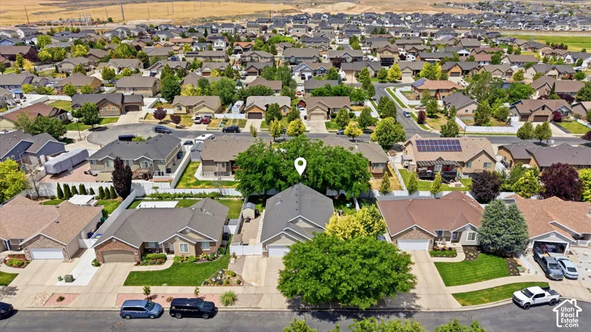 Suburban residence featuring a pitched roof, attached garage, paved driveway, and established landscaping