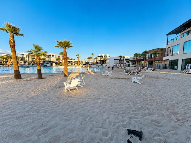 Expansive sandy beach area with mature palm trees