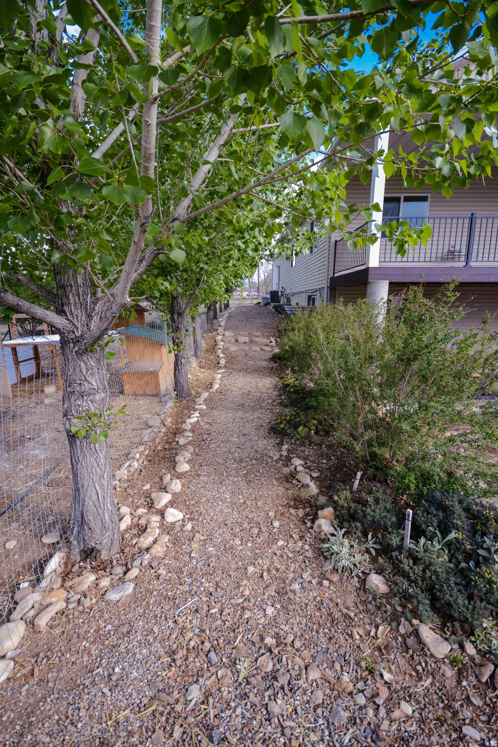 Gravel pathway bordered by natural stones and mature trees