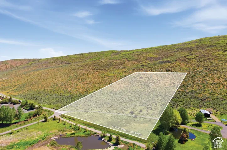 Expansive undeveloped lot featuring natural vegetation, bordered by a paved road, with a pond and mature trees in the foreground