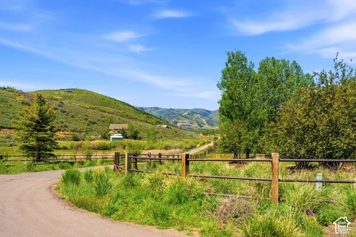 Mountain view